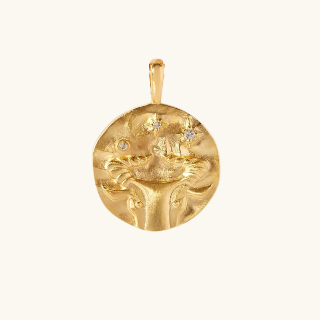 Charms Signos del Zodiaco (𝒸𝒶𝓇𝓉𝒶 𝒾𝓃𝓁𝒸𝓊𝒾𝒹𝒶)