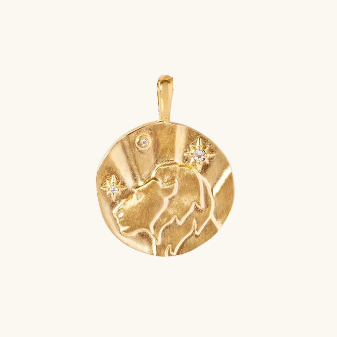 Charms Signos del Zodiaco (𝒸𝒶𝓇𝓉𝒶 𝒾𝓃𝓁𝒸𝓊𝒾𝒹𝒶)