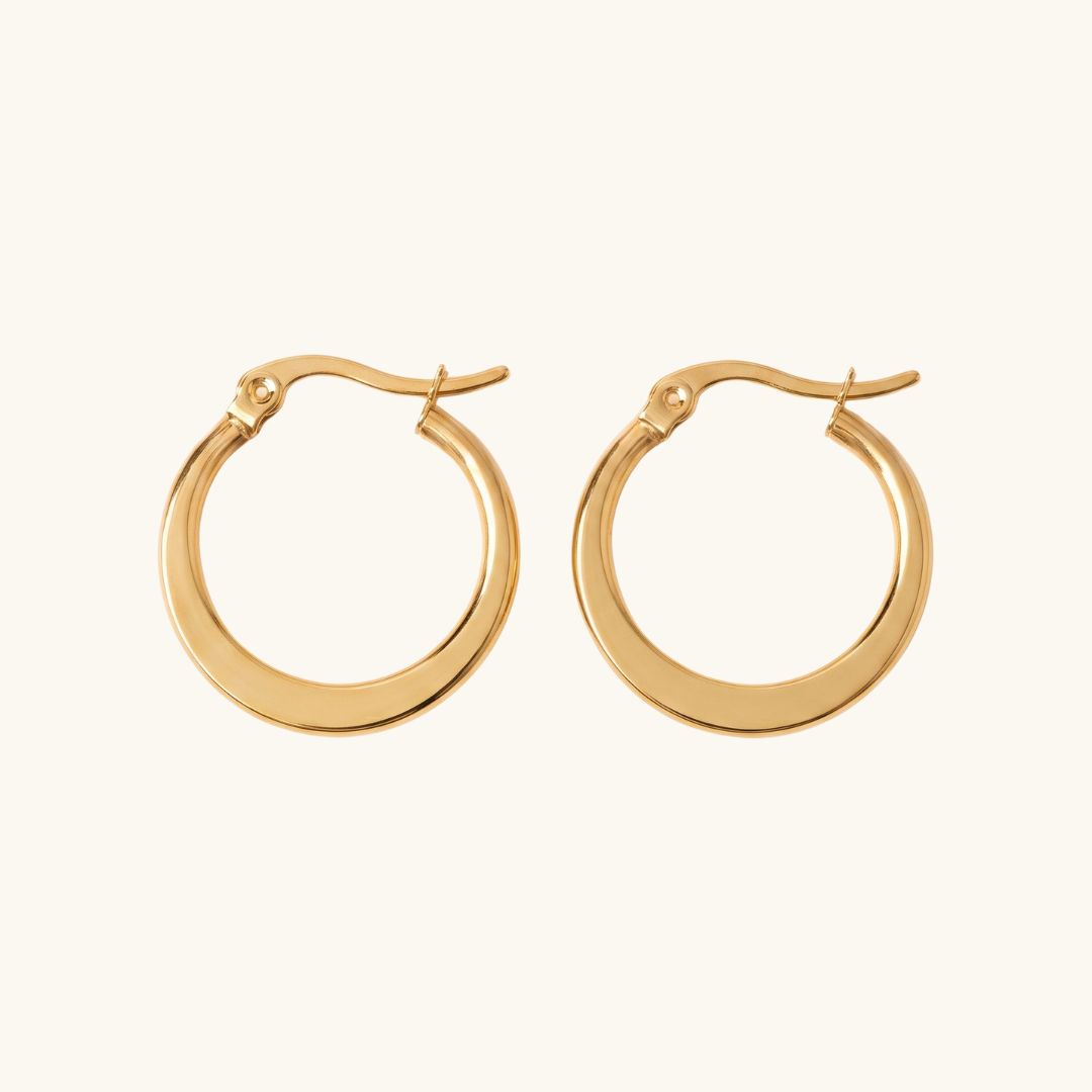 Pendientes Ania